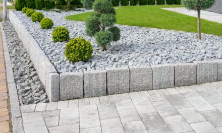 L’importance de l’entretien du jardin : Un espace verdoyant pour le bien-être et la beauté