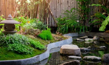 Jardinier Paysagiste pour la création et l’entretien d’un Jardin à la Japonaise